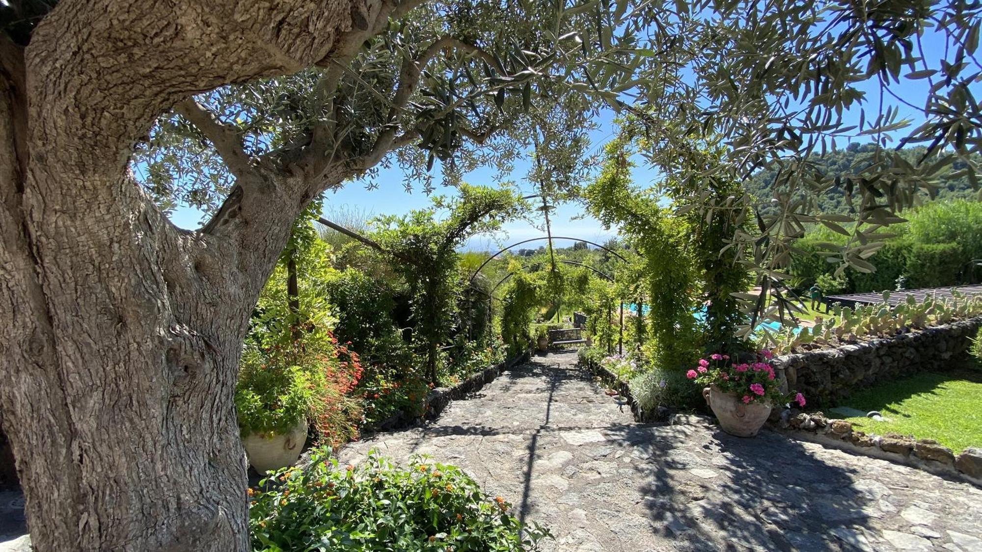 Villa Il Palmento Dell'Etna Trecastagni Exterior foto